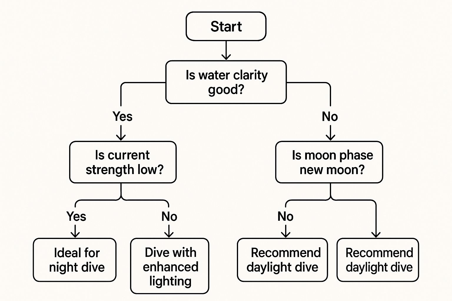 Infographic about manta ray night dive
