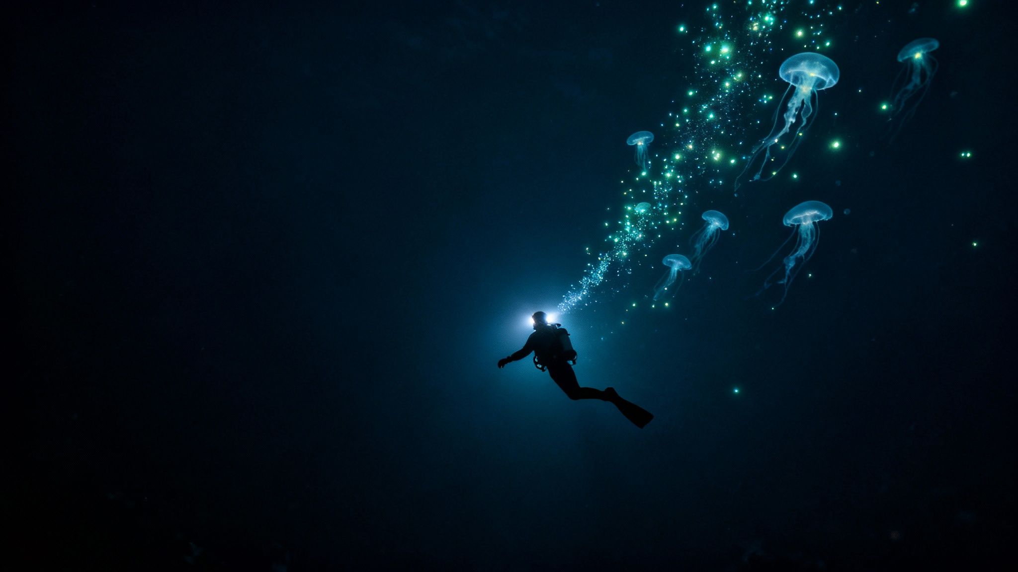A diver in deep blue water shines a headlamp upwards, illuminating glowing particles and jellyfish.