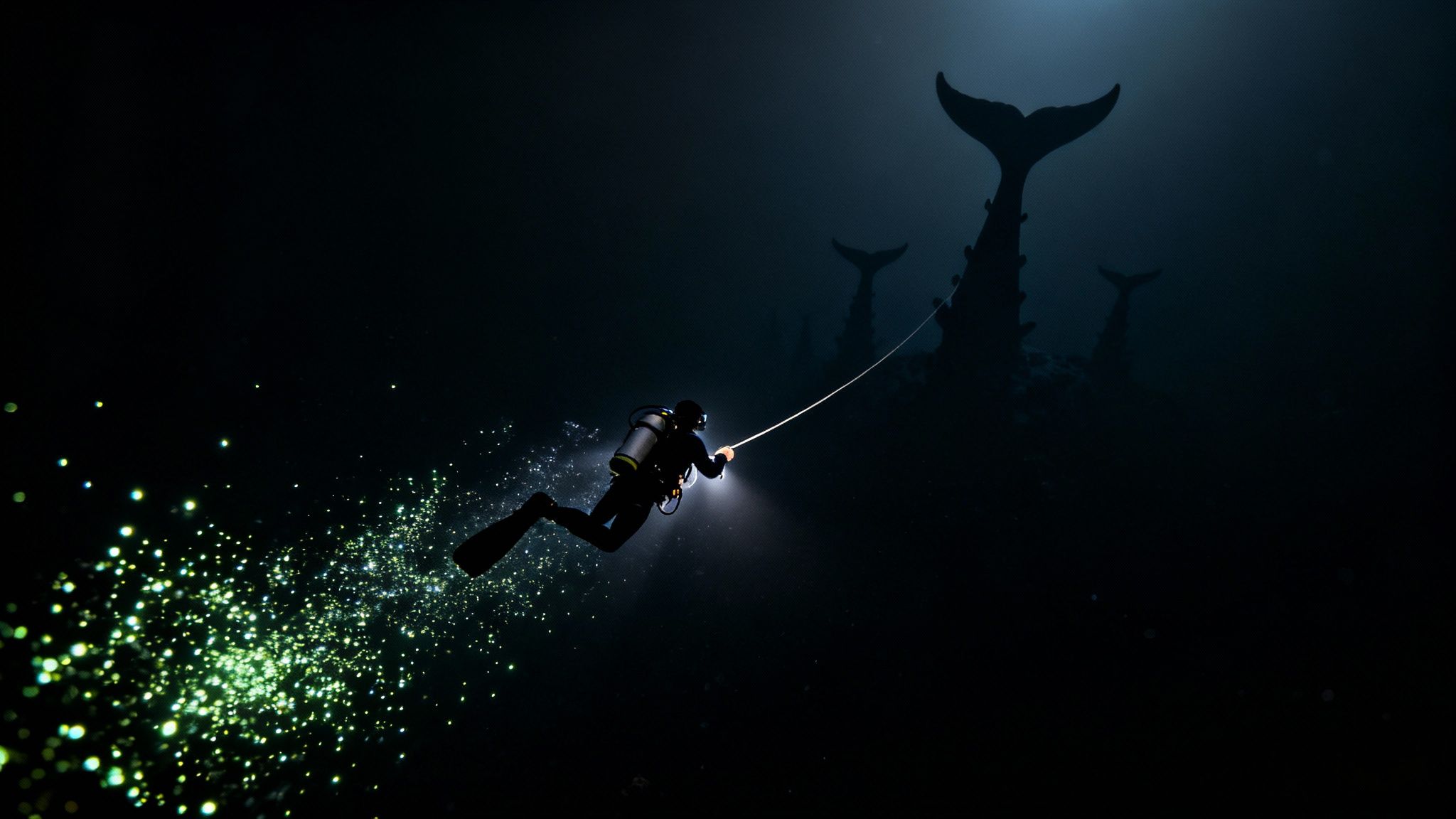 A bioluminescent creature photographed during a blackwater dive in Kona.