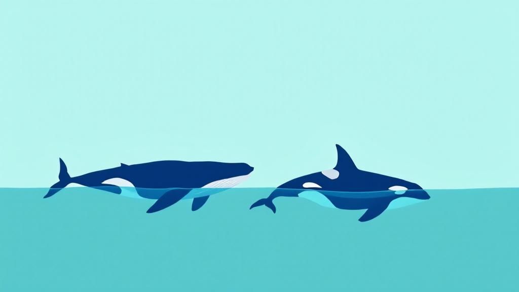 A mother humpback whale and her calf swim gracefully near the surface in the protected Hawaiian waters.