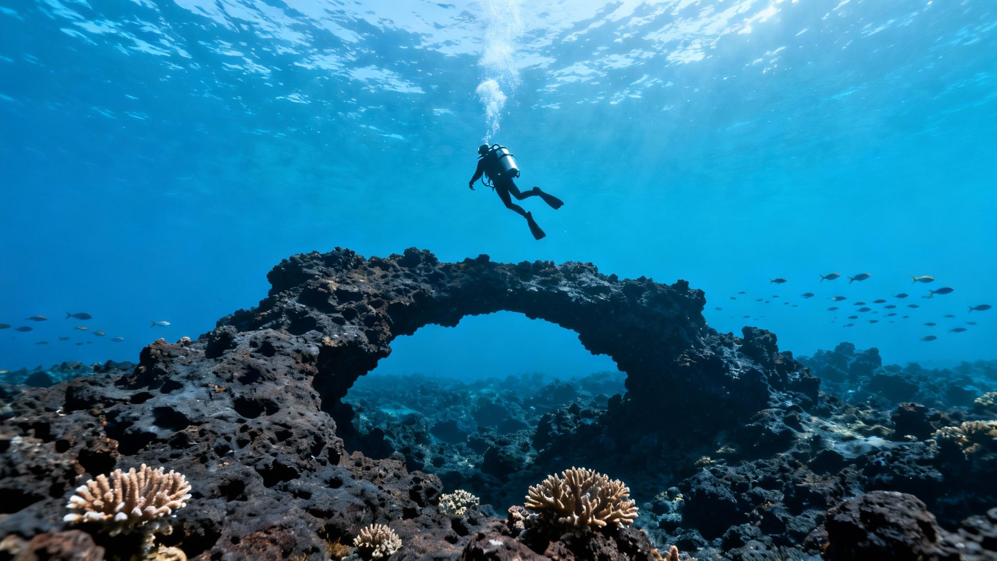A scuba diver swims near a coral reef with vibrant fish on the Big Island of Hawaii.