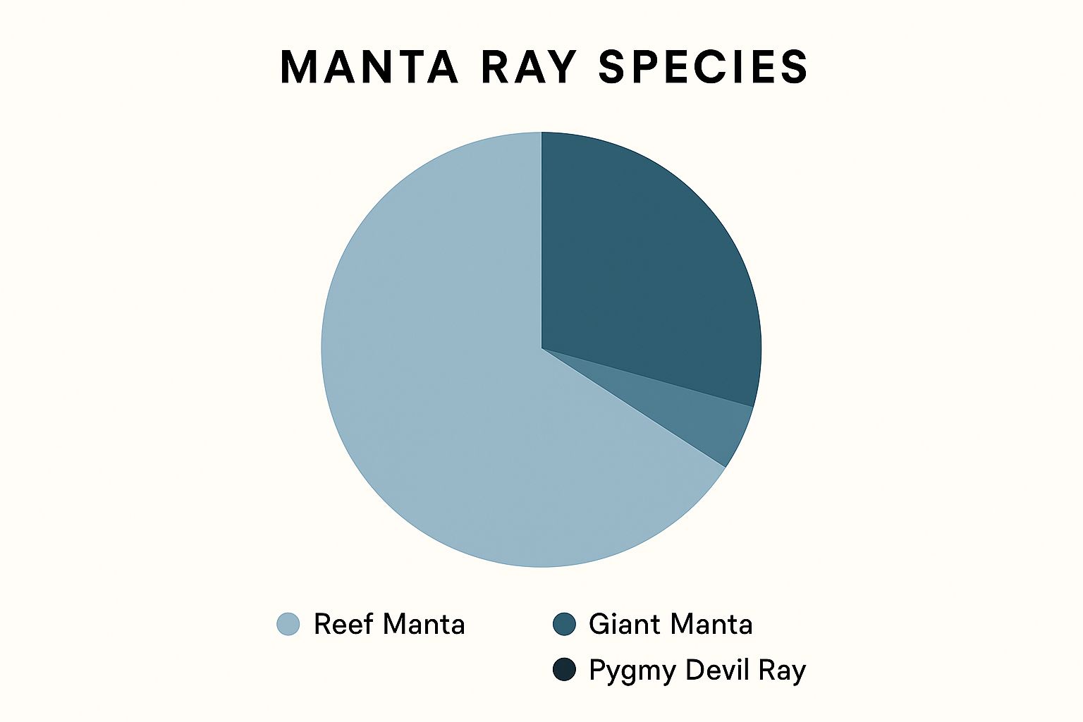 Infographic about manta ray night dive kailua kona