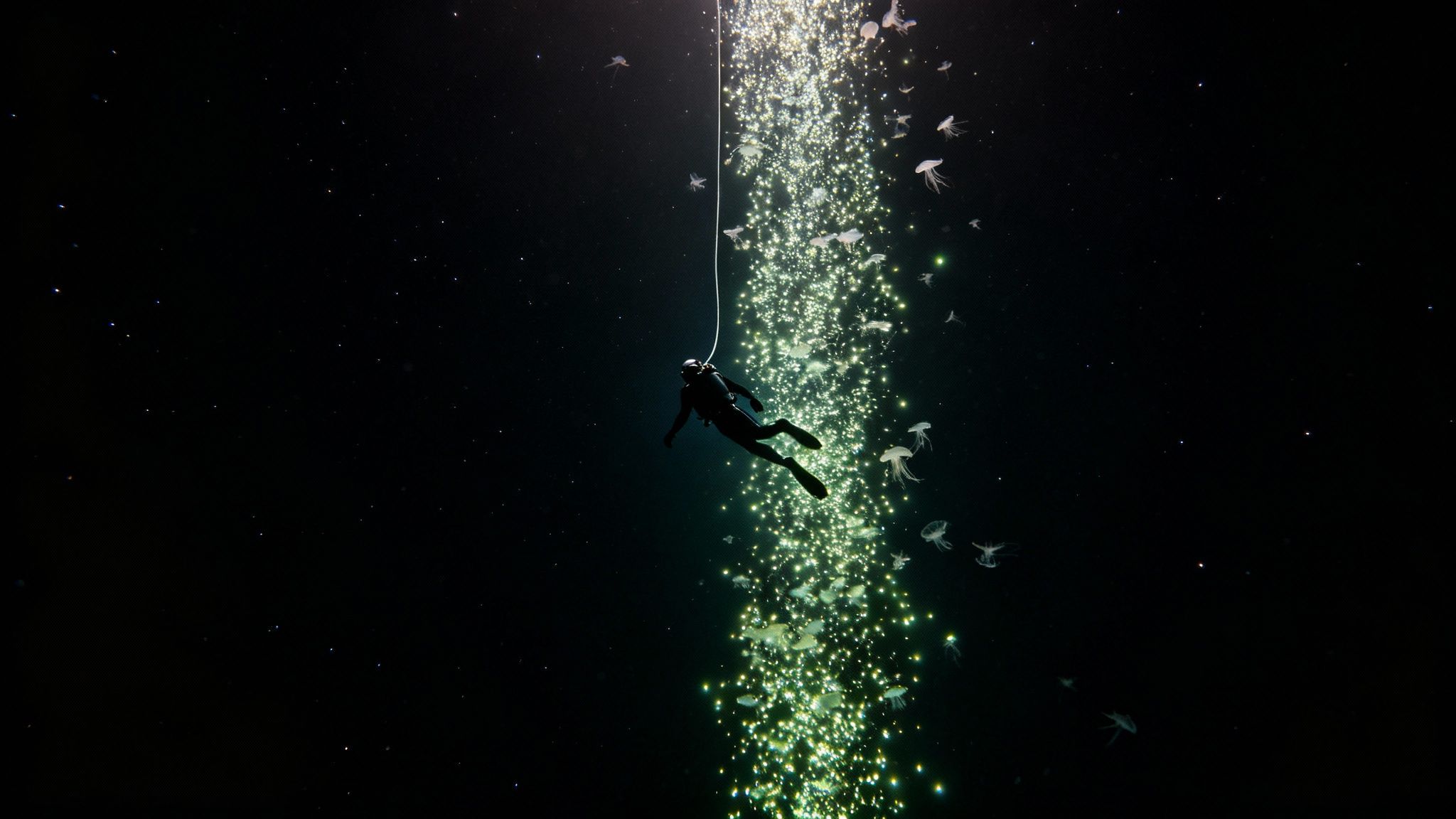 A diver in a dark ocean descends into sparkling bioluminescent plankton, surrounded by jellyfish.