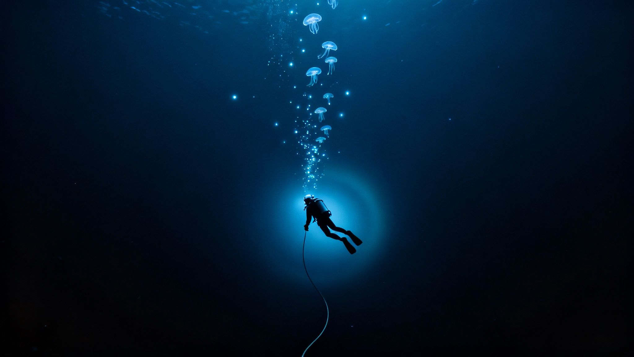 A silhouetted scuba diver ascends in deep blue water, surrounded by glowing bubbles and jellyfish.