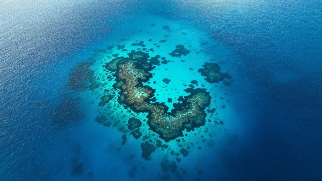 A scuba diver swims through a massive underwater lava arch with sunlight filtering from above.