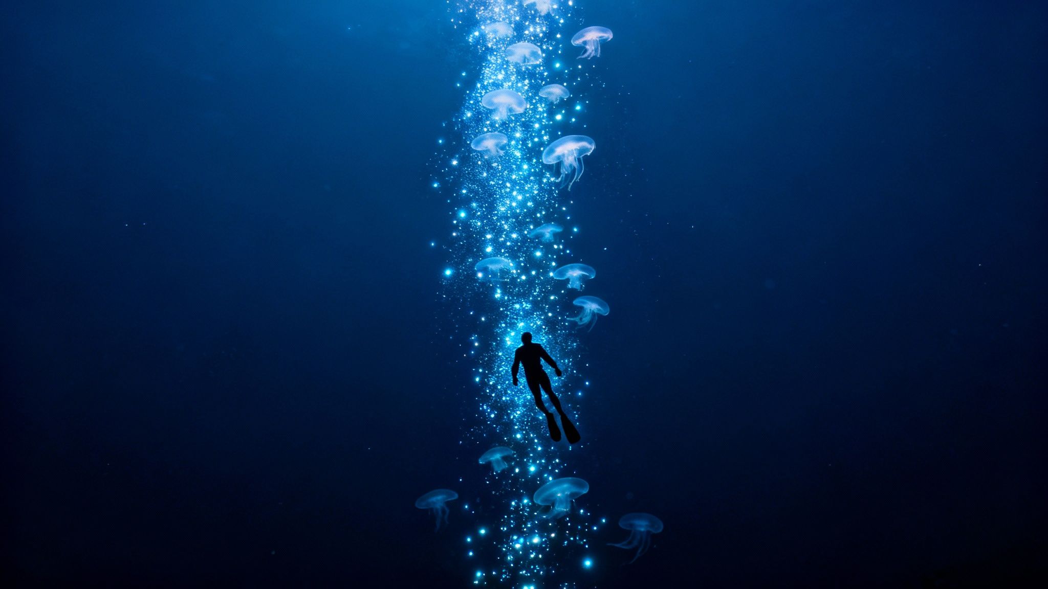A scuba diver illuminates a strange, bioluminescent creature during a blackwater dive