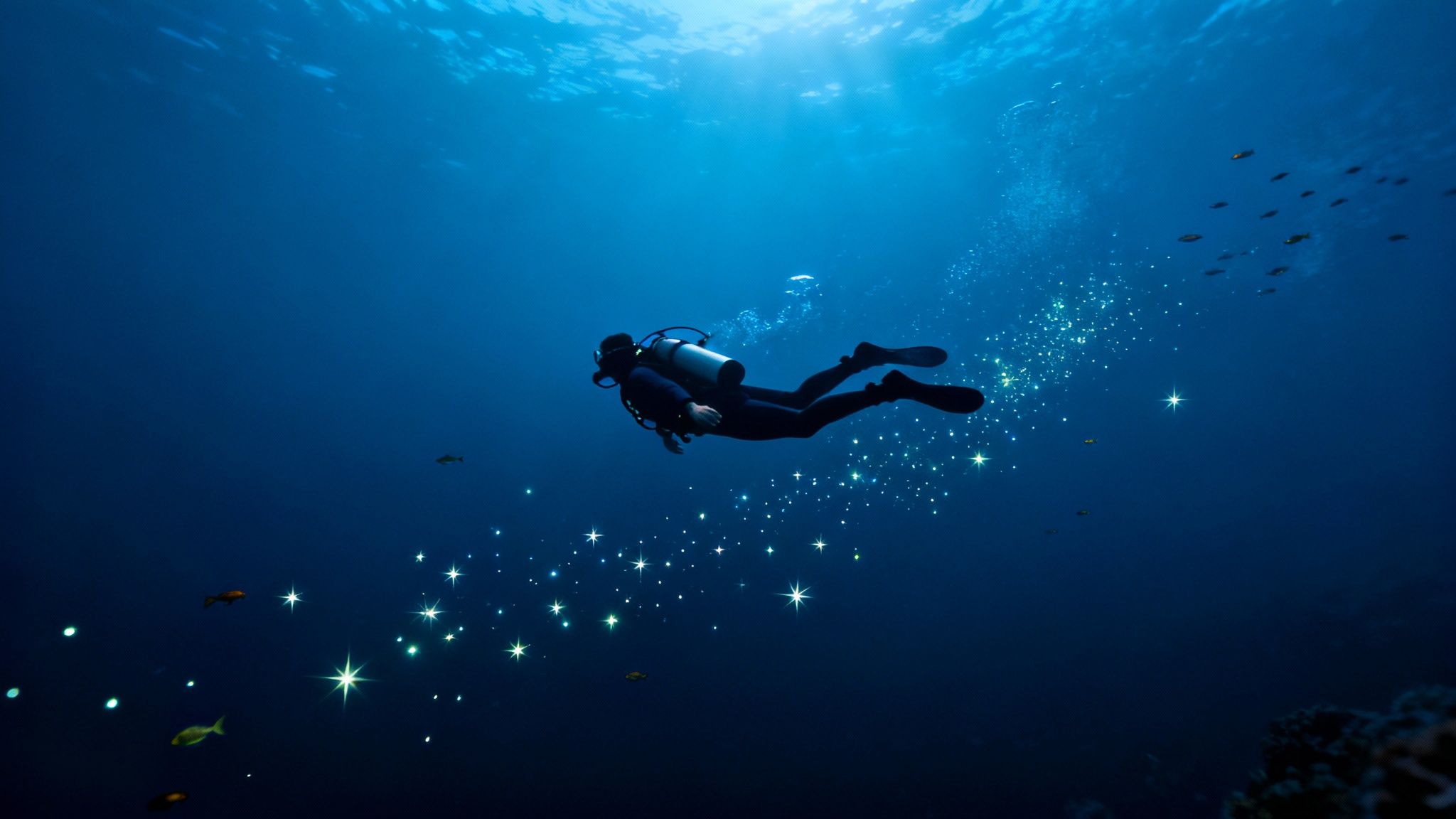 A bioluminescent creature photographed during a blackwater dive in Kona.