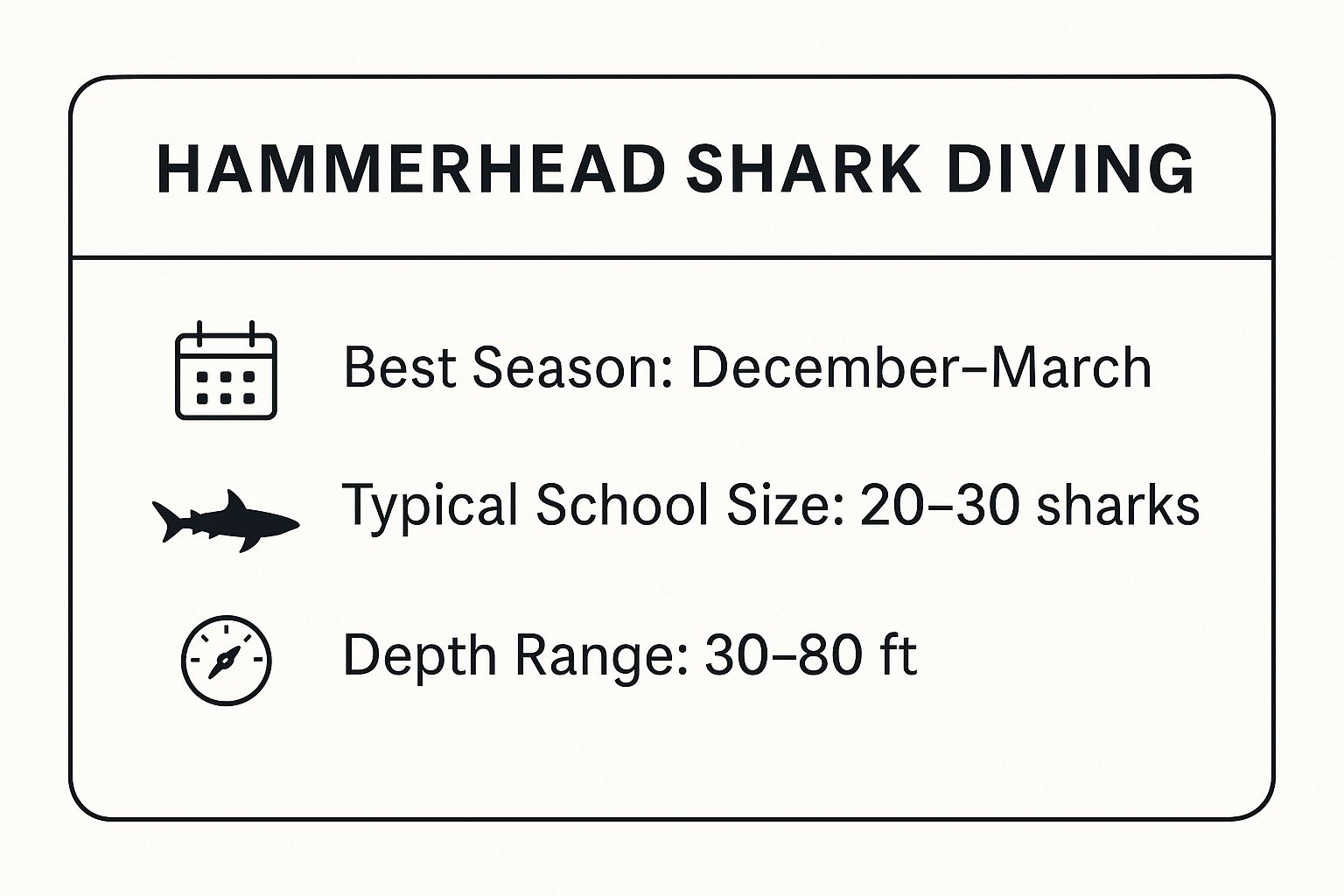 Hammerhead Shark Diving at Pelagic Magic