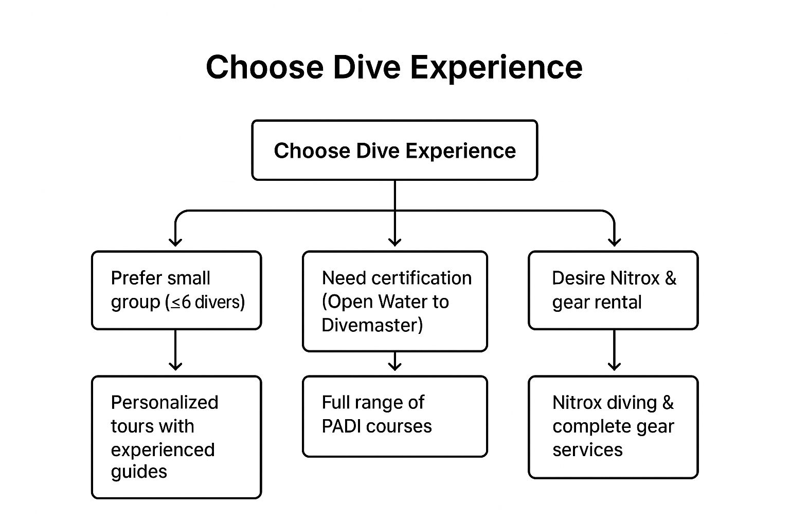 Infographic decision tree showing how to choose a dive experience with Kona Honu Divers.