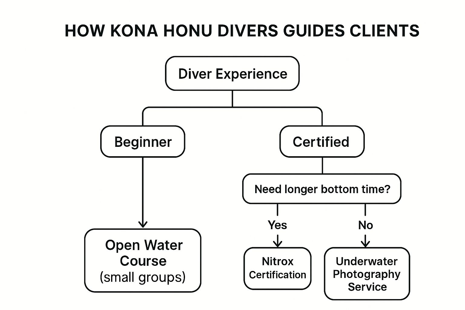 Infographic decision tree showing how Kona Honu Divers guides clients based on experience level and interests.