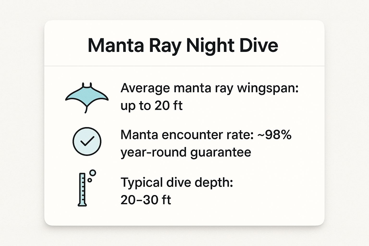 Infographic showing key data about Manta Ray Night Dive