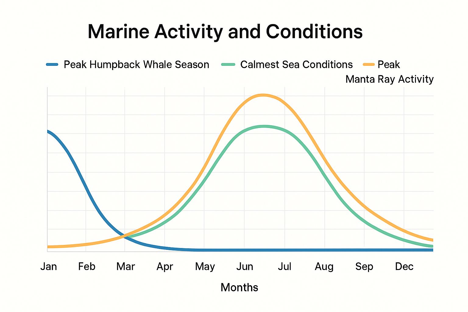 Infographic showing key data about Seasonal Marine Life and Diving Conditions
