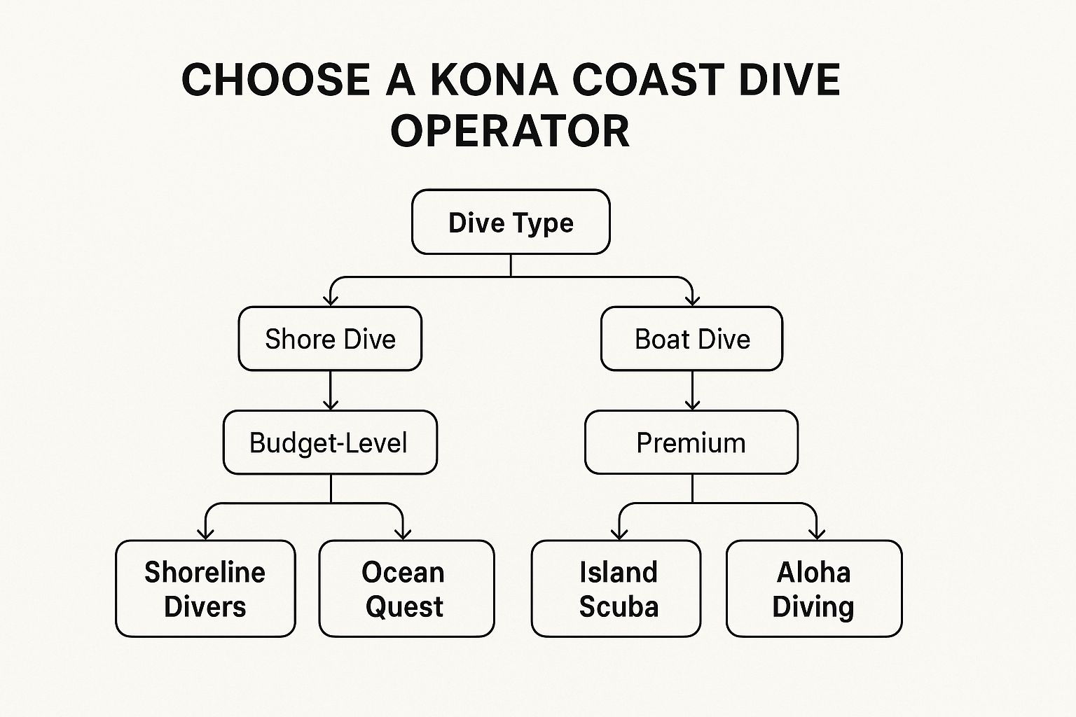 Infographic showing key data about Kona Coast Dive Operators