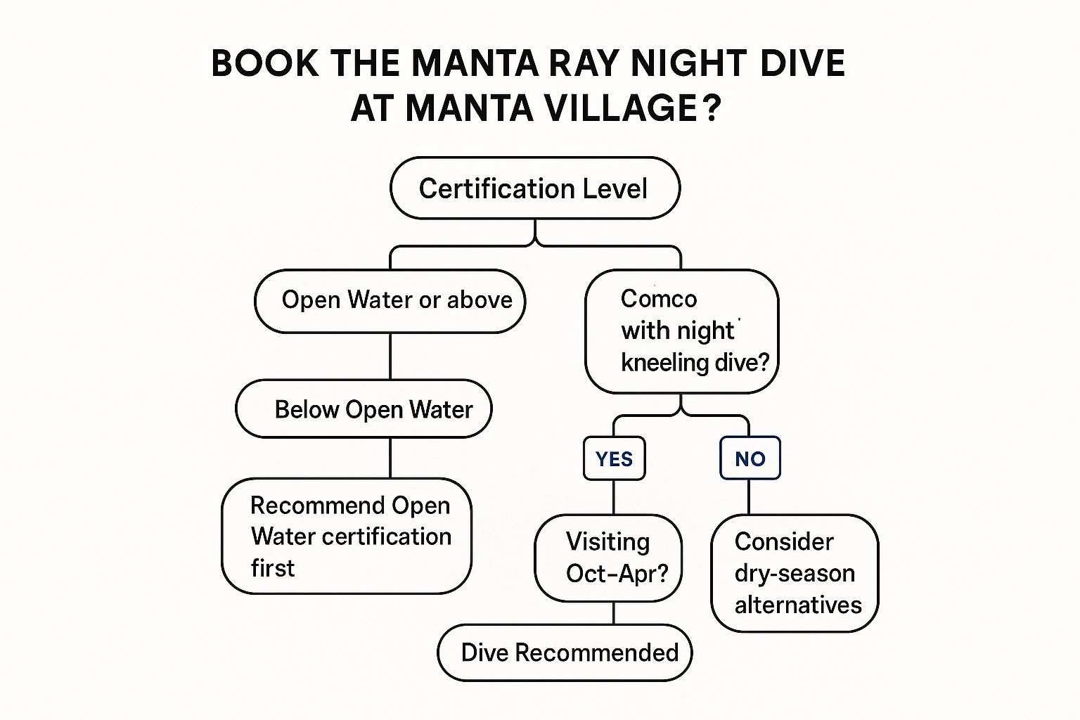 Infographic showing key data about Manta Ray Night Dive - Manta Village