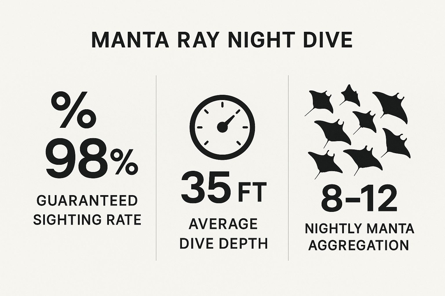 Infographic showing key data about Manta Ray Night Dive - Kona Coast