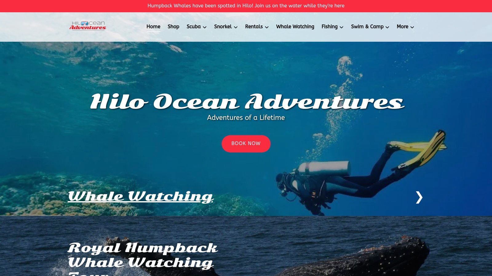 Hilo Ocean Adventures
