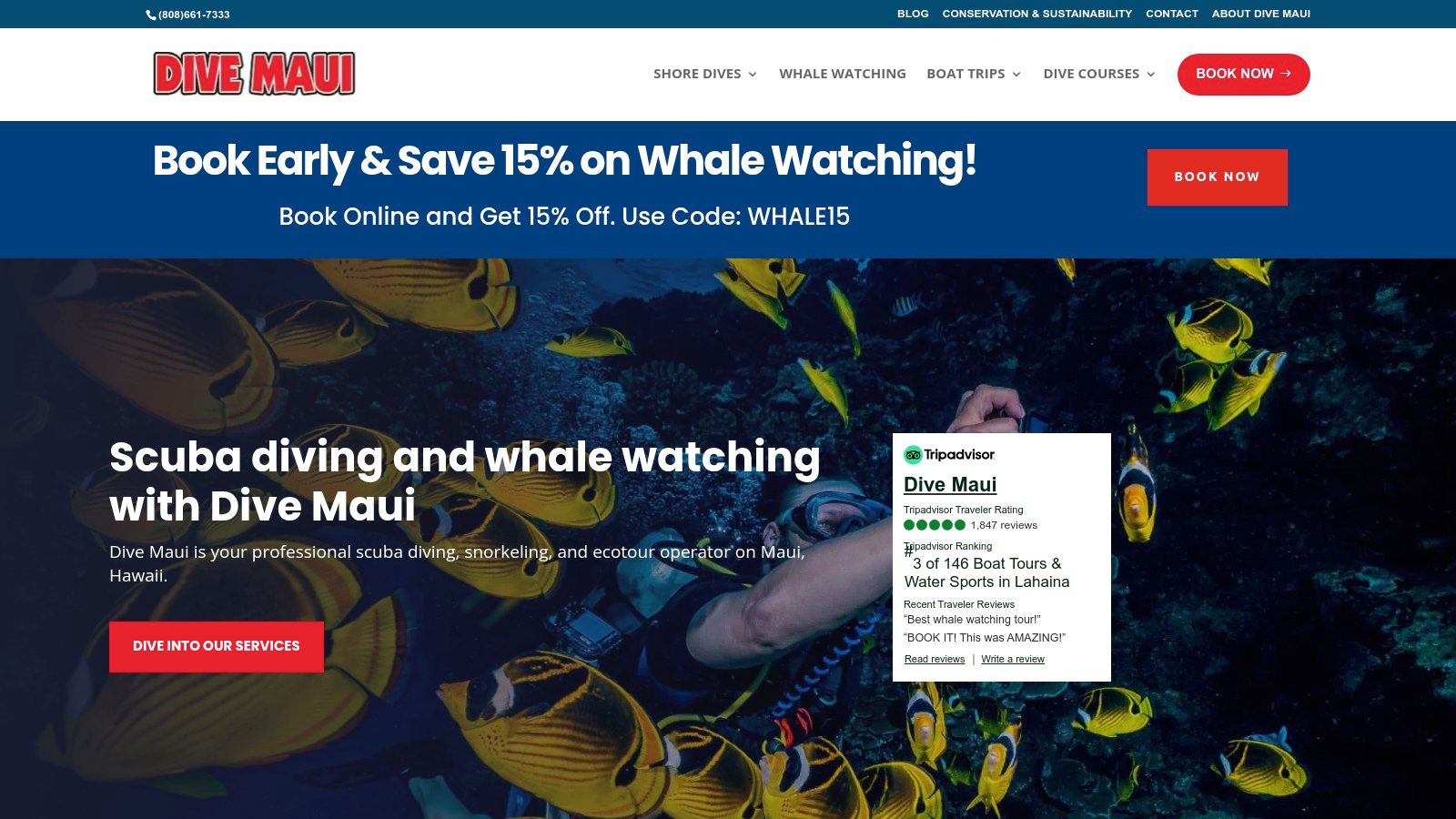 Dive Maui (Go Scuba Dive Maui)