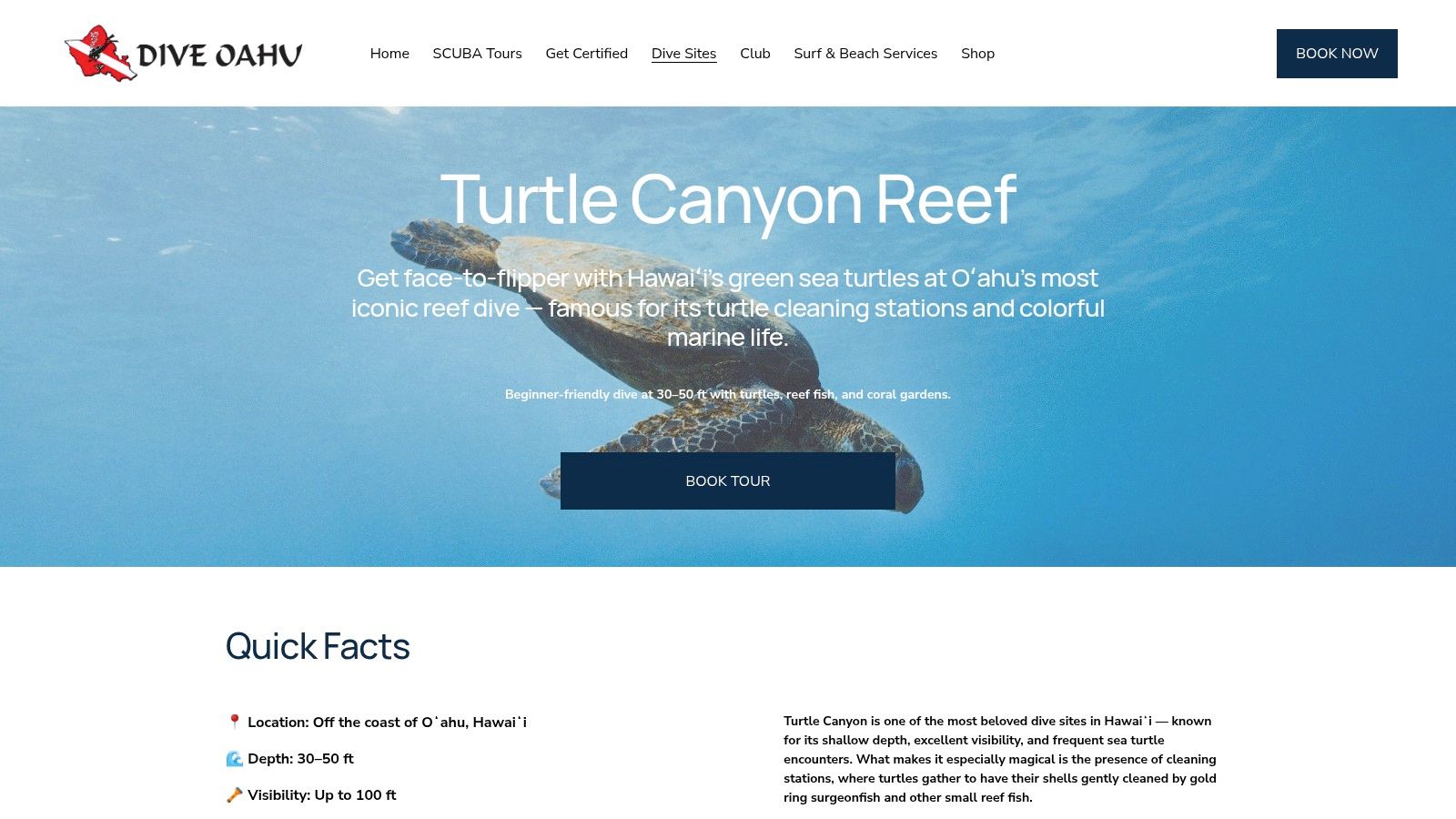 Dive O‘ahu – Turtle Canyon Snorkeling and Reef Trips