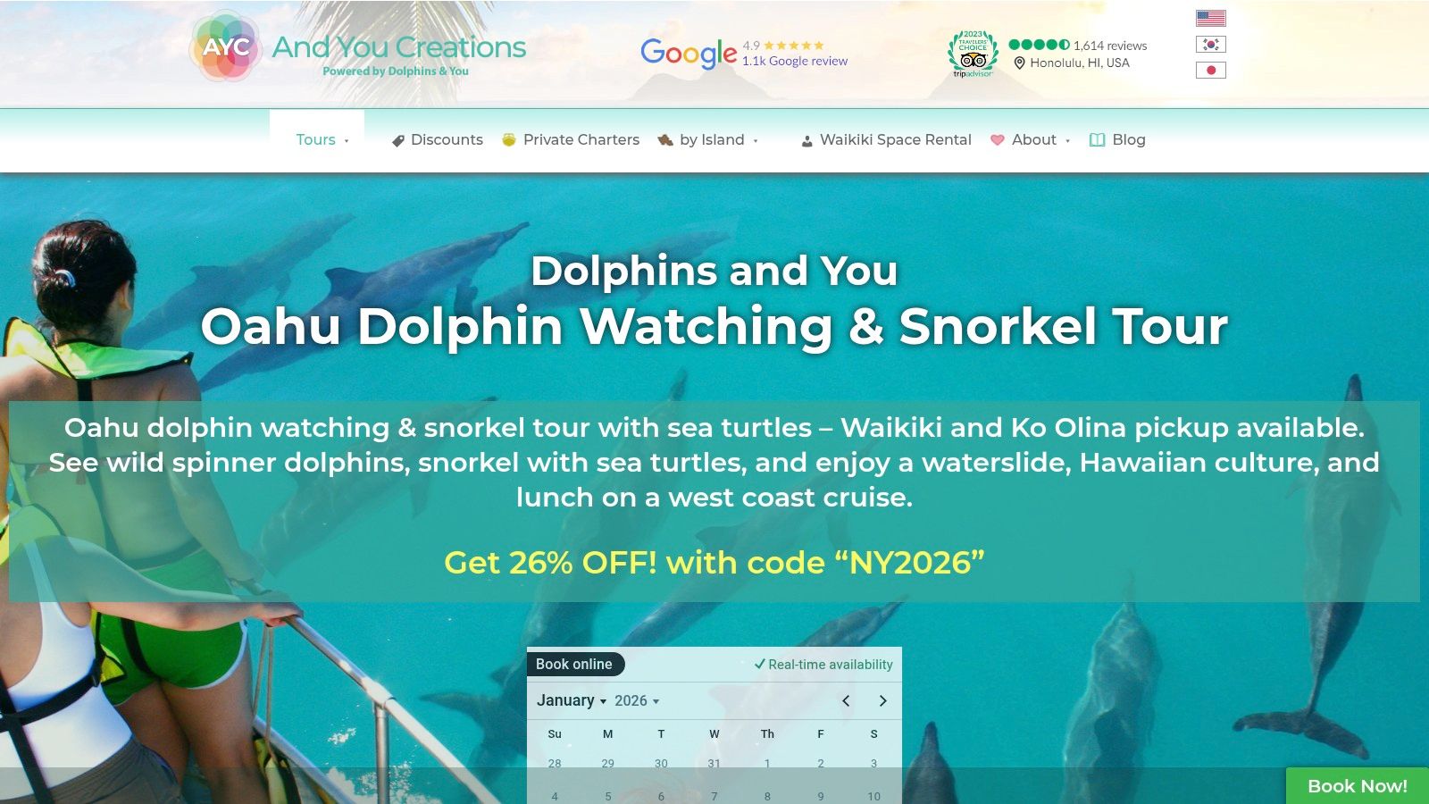 Dolphins and You (operator)