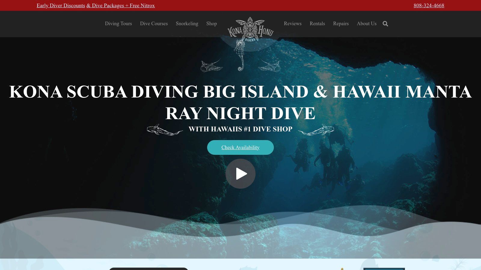 Kona Honu Divers: The Premier All-Around Operator