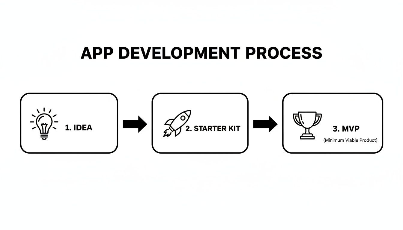 A diagram illustrating the app development process, showing three stages: Idea, Starter Kit, and MVP.