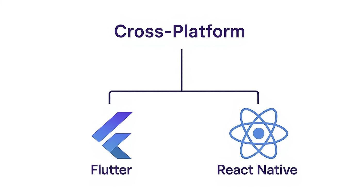 Cross-platform mobile development frameworks showing Flutter and React Native logos with connecting diagram structure