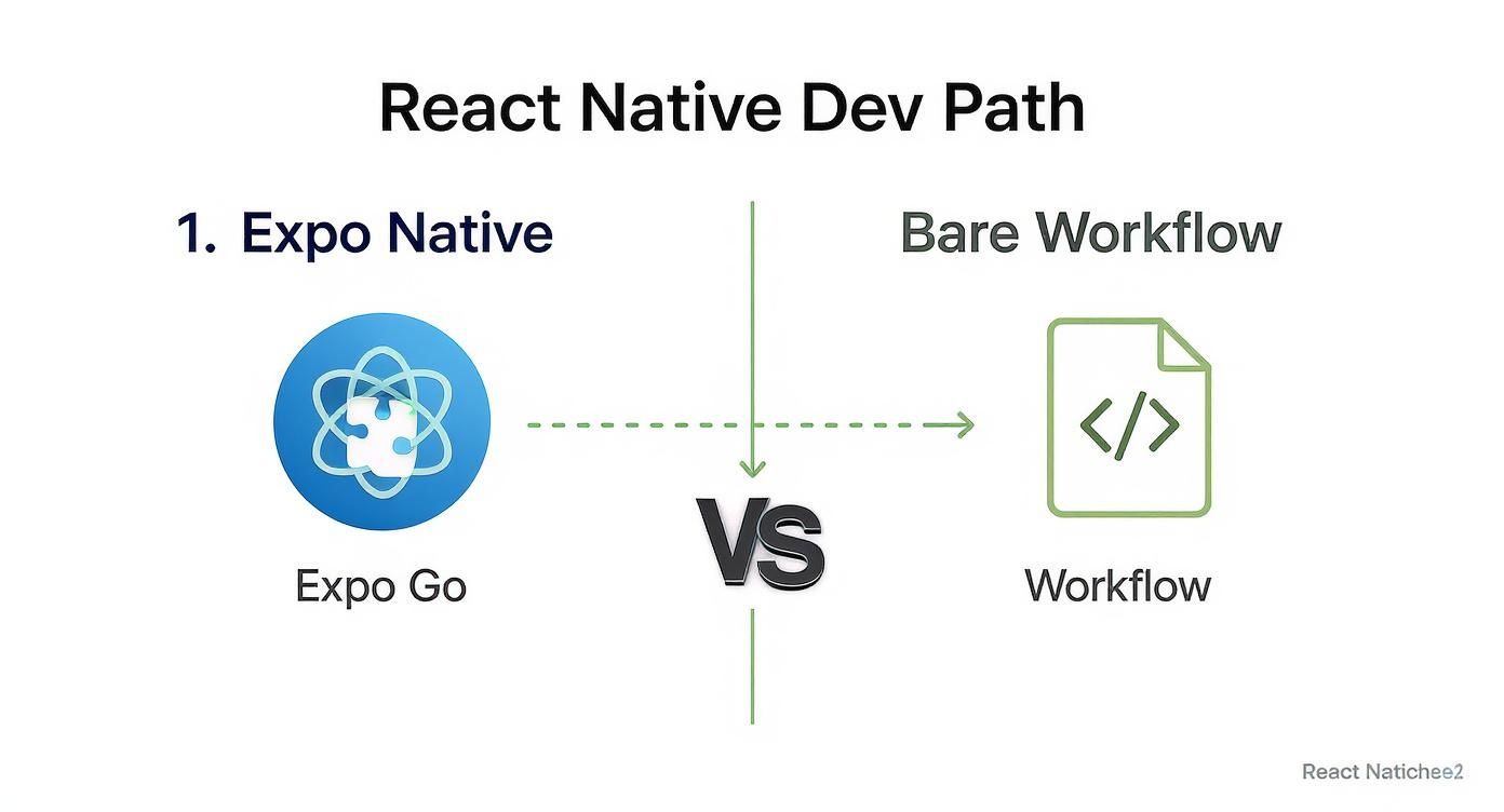 Flowchart comparing React Native development paths: Expo Native with Expo Go versus Bare Workflow.