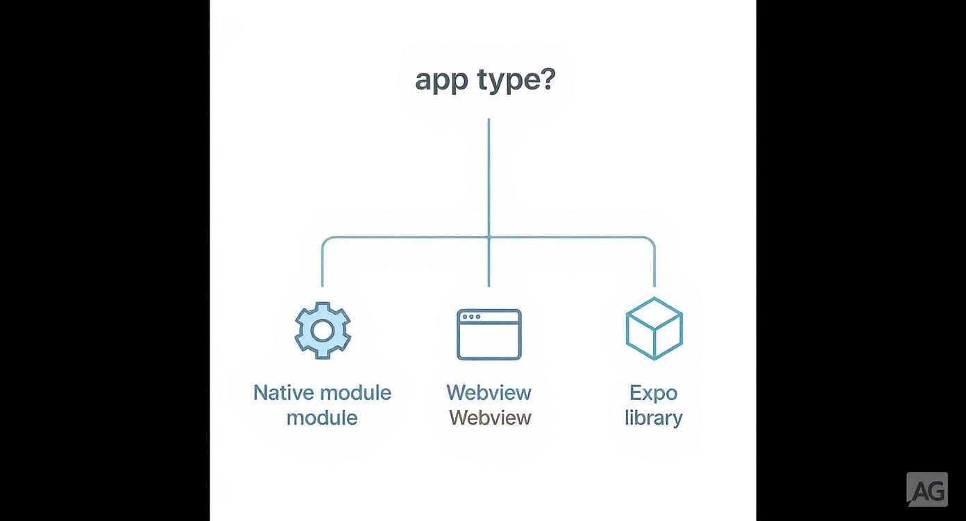 Flowchart illustrating three types of mobile applications: Native module, Webview, and Expo library options.
