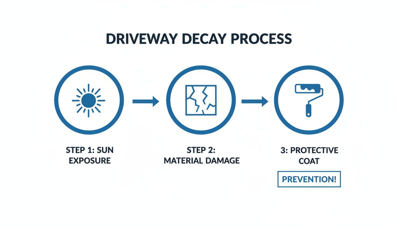 Infographic showing the driveway decay process from sun exposure to material damage, emphasizing prevention with a protective coat.