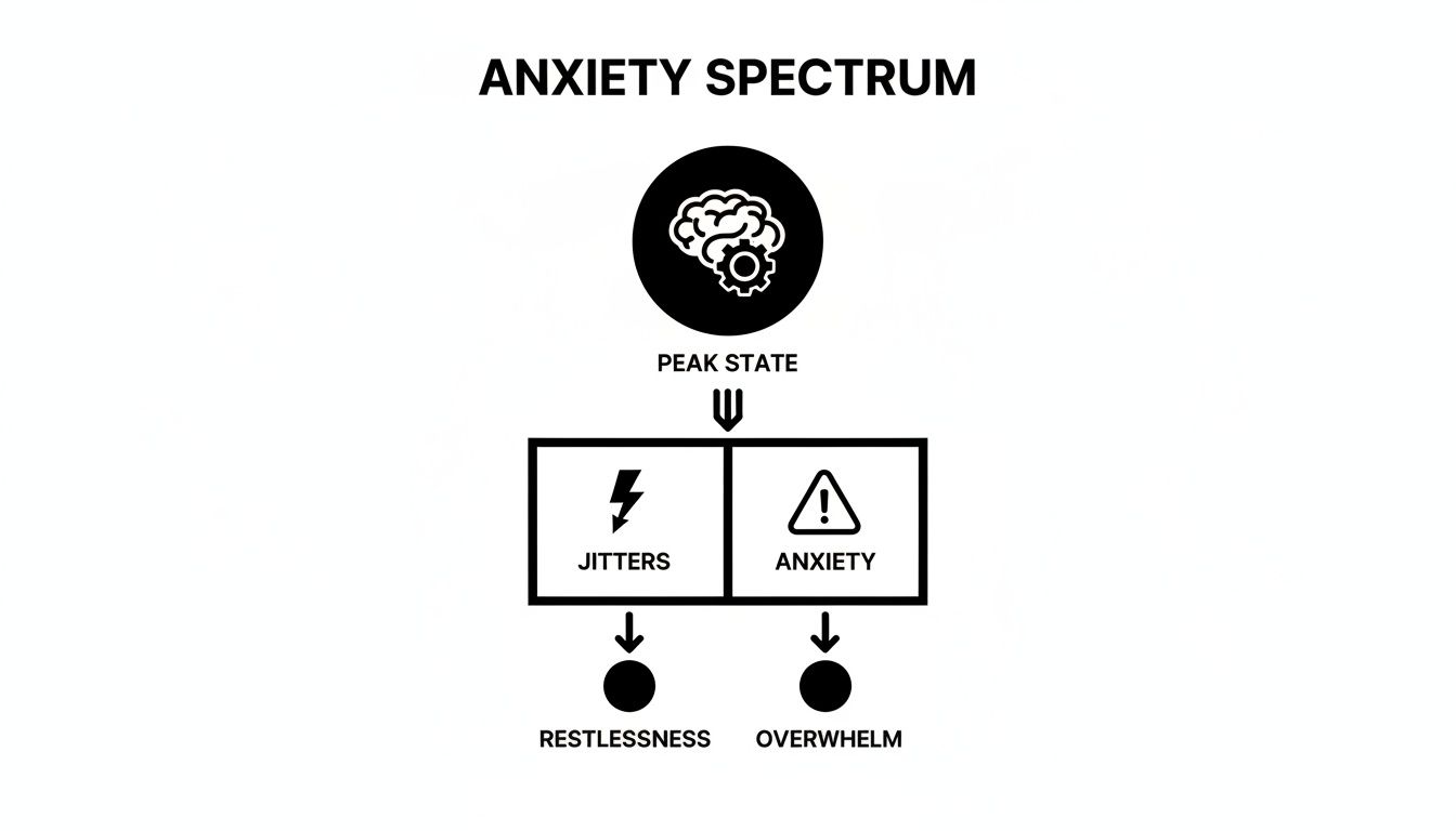 Flowchart showing the anxiety spectrum, branching from peak state into jitters and anxiety, leading to restlessness and overwhelm.