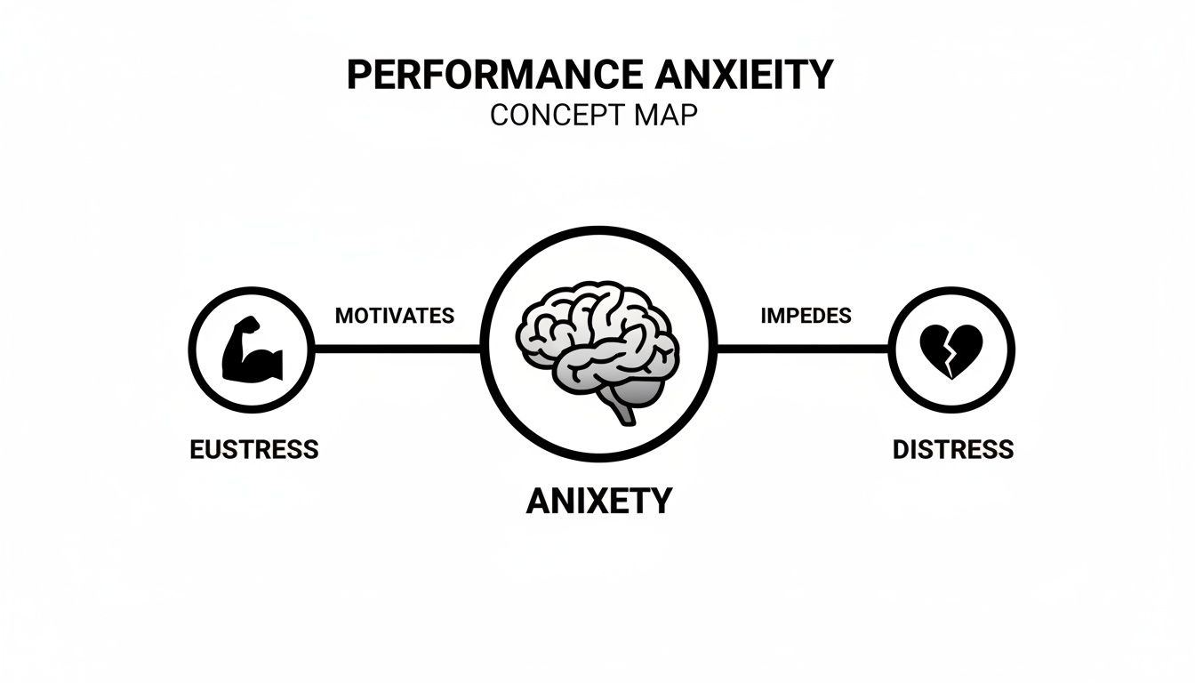 A concept map illustrating performance anxiety, showing how anxiety can motivate eustress or impede distress.