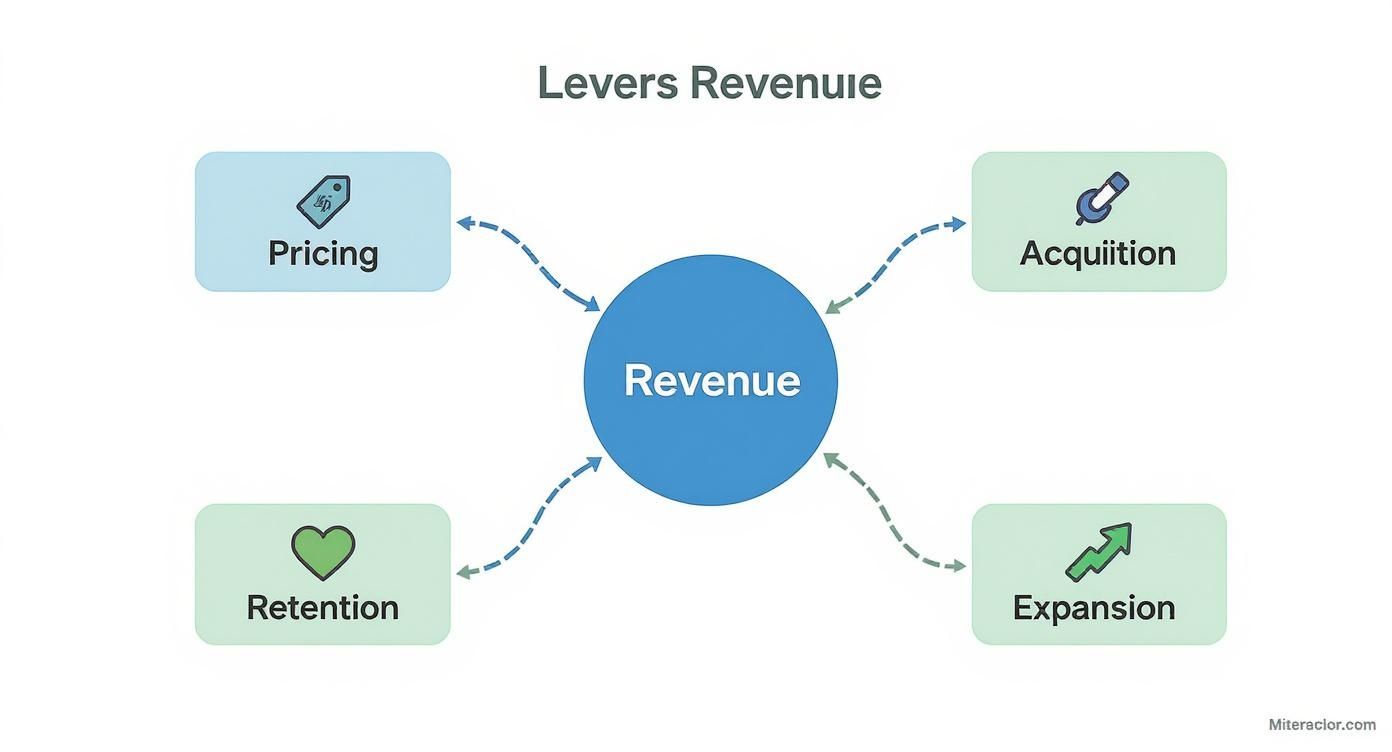 Infographic about revenue growth formula