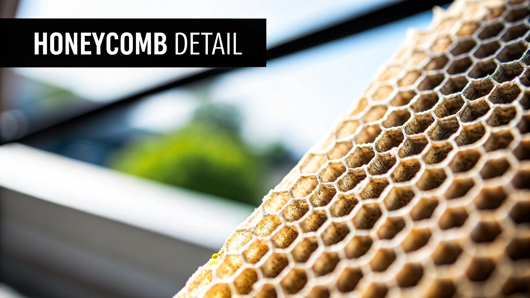A close-up view of the honeycomb structure of a cellular shade