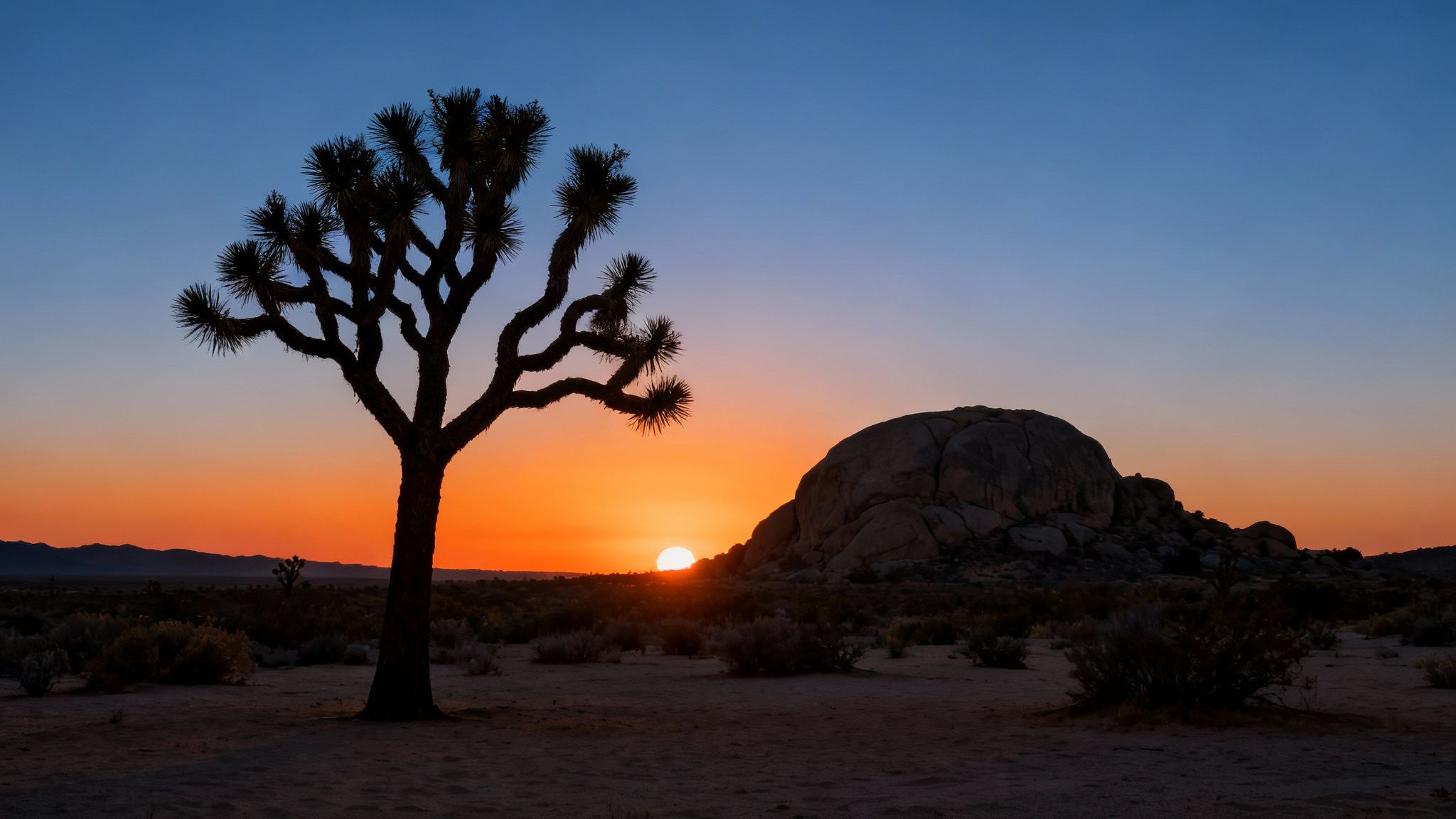 A dramatic silhouette of a Joshua tree and rock formation against a beautiful desert sunset.