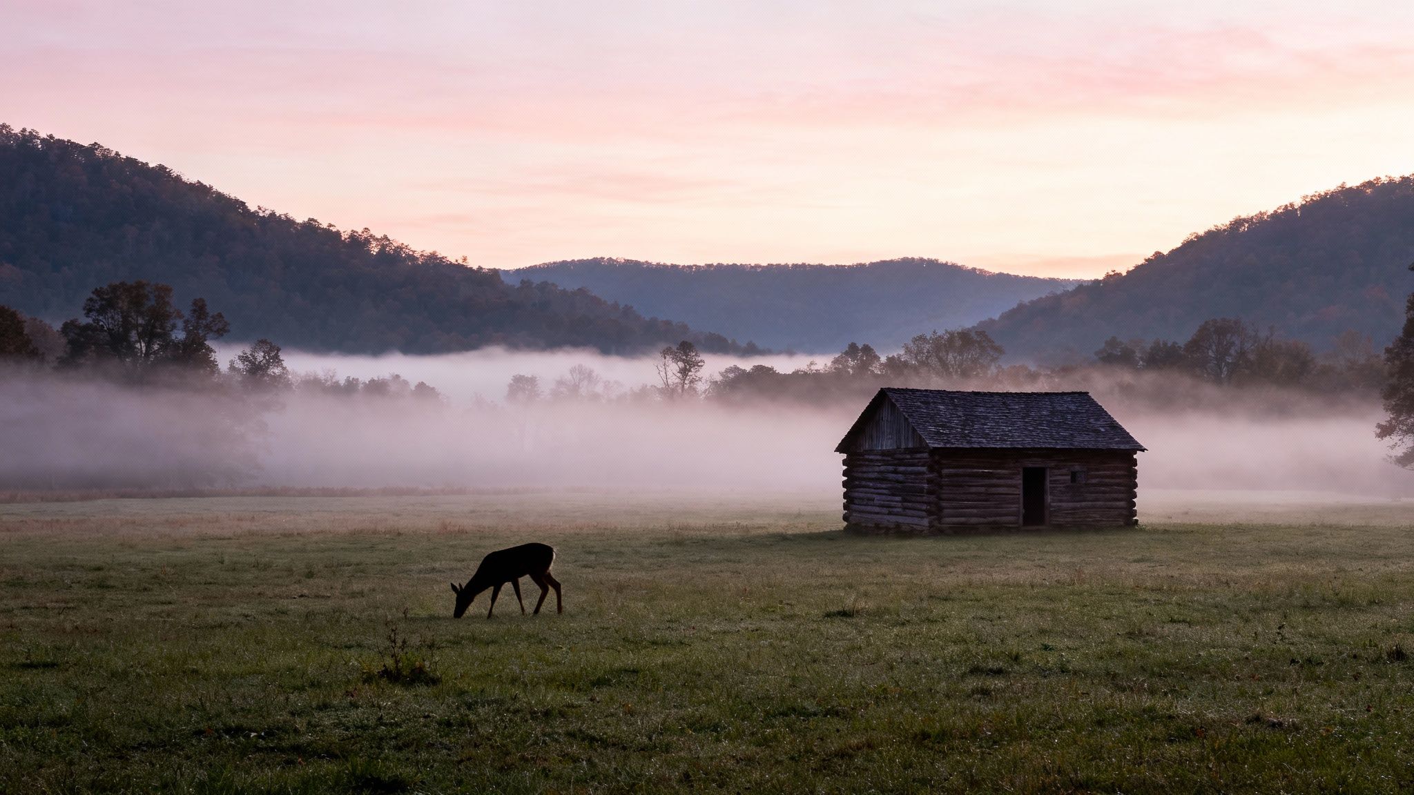 A peaceful misty morning in a valley with a log cabin, a grazing deer, and mountains.