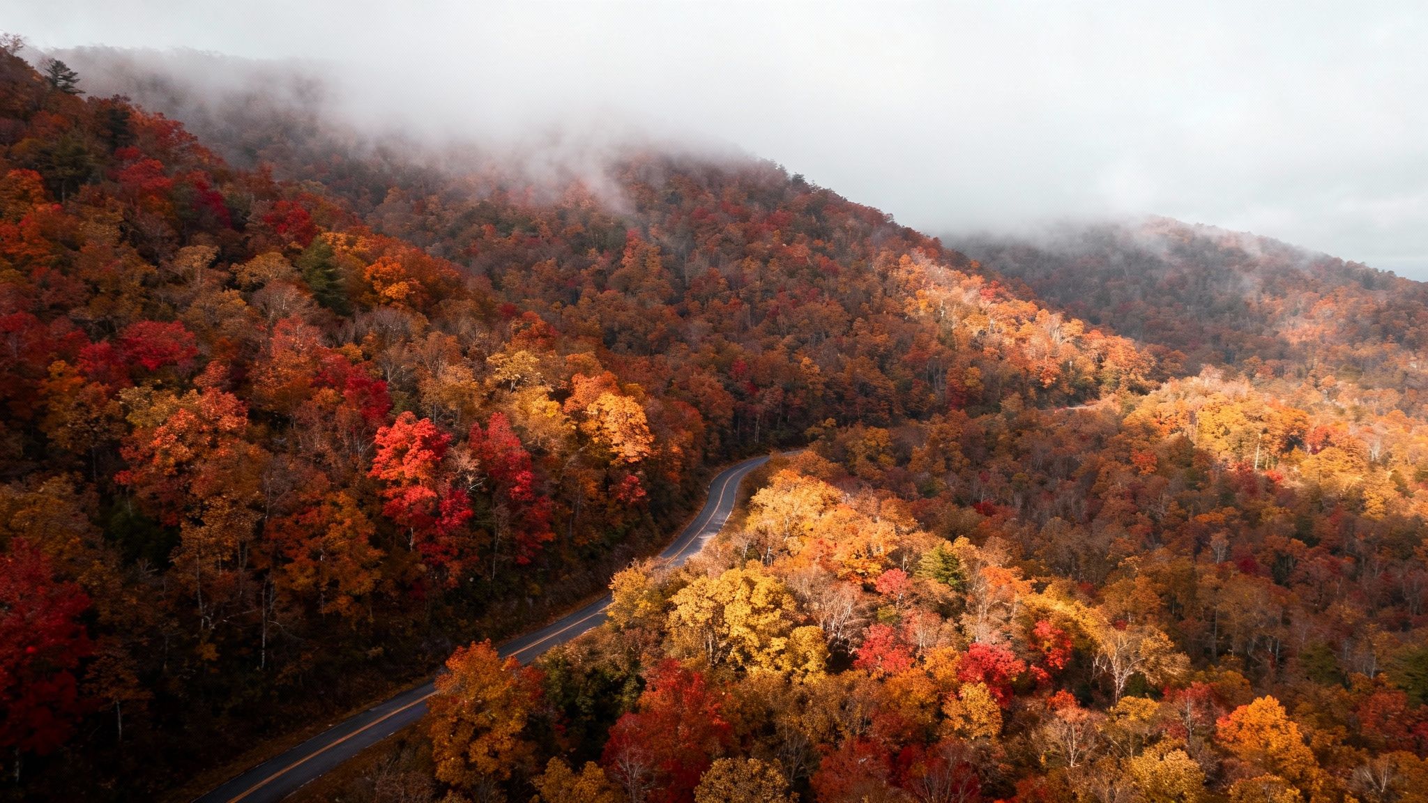 A valley of colorful autumn trees in the Smoky Mountains