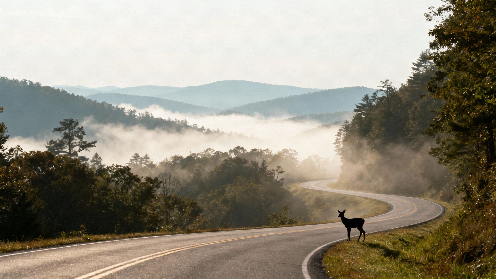 Gatlinburg SkyLift and SkyBridge