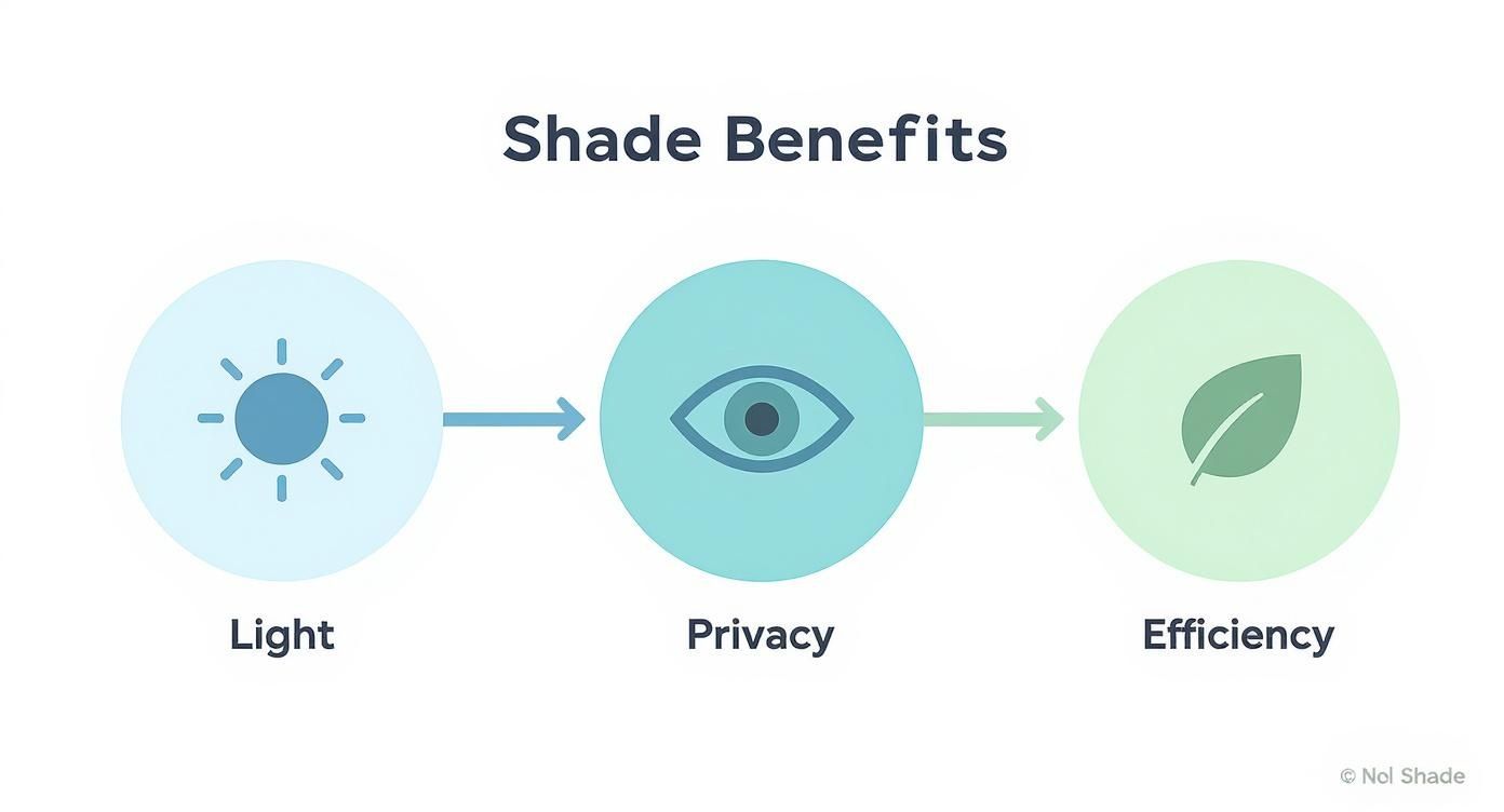 Infographic showing three circles representing the core benefits of window shades Light, Privacy, and Efficiency.