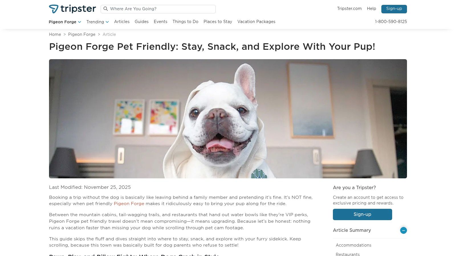 Tripster Travel Guide — Pet-Friendly Pigeon Forge