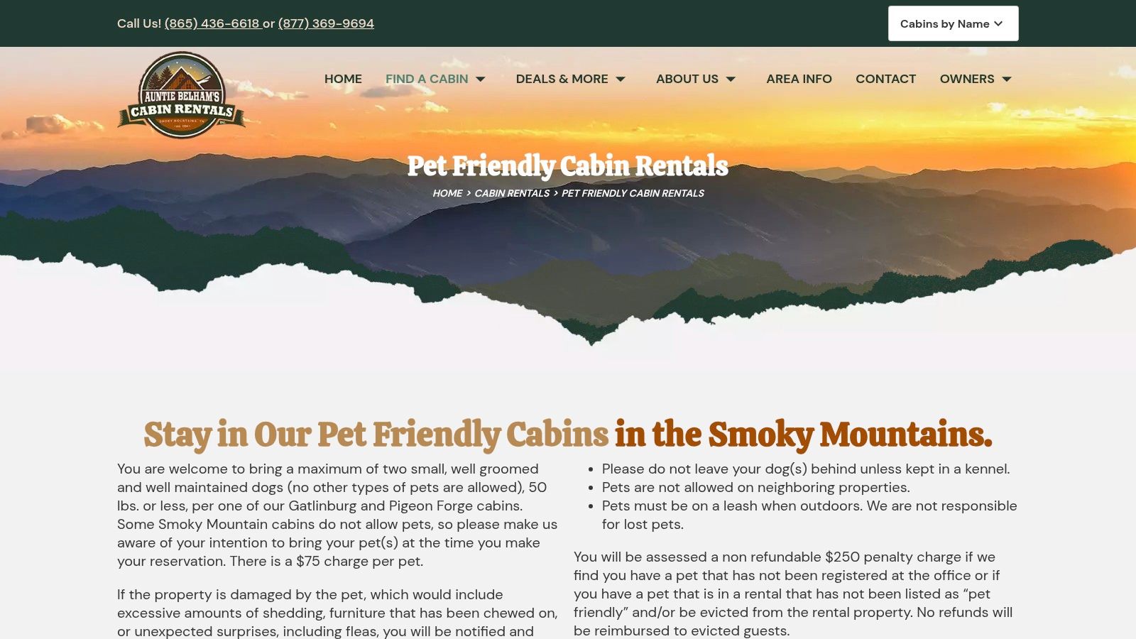 Auntie Belham’s Cabin Rentals