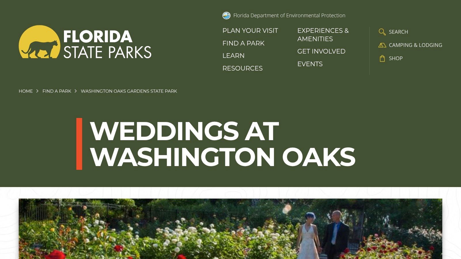 Florida State Parks (Weddings)