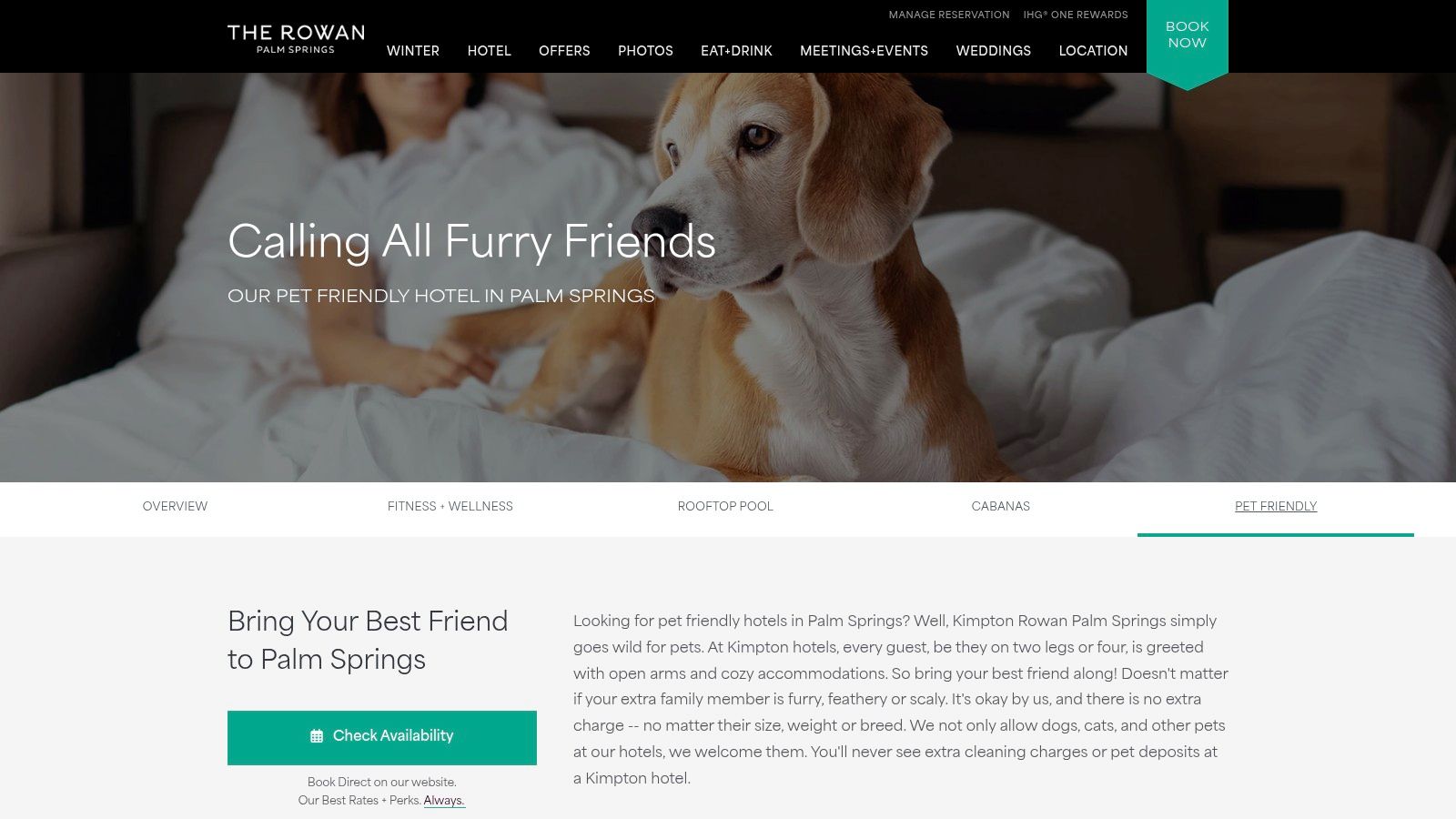 A dog sitting on a hotel bed in the Kimpton Rowan Palm Springs, showcasing the hotel's pet-friendly accommodations.