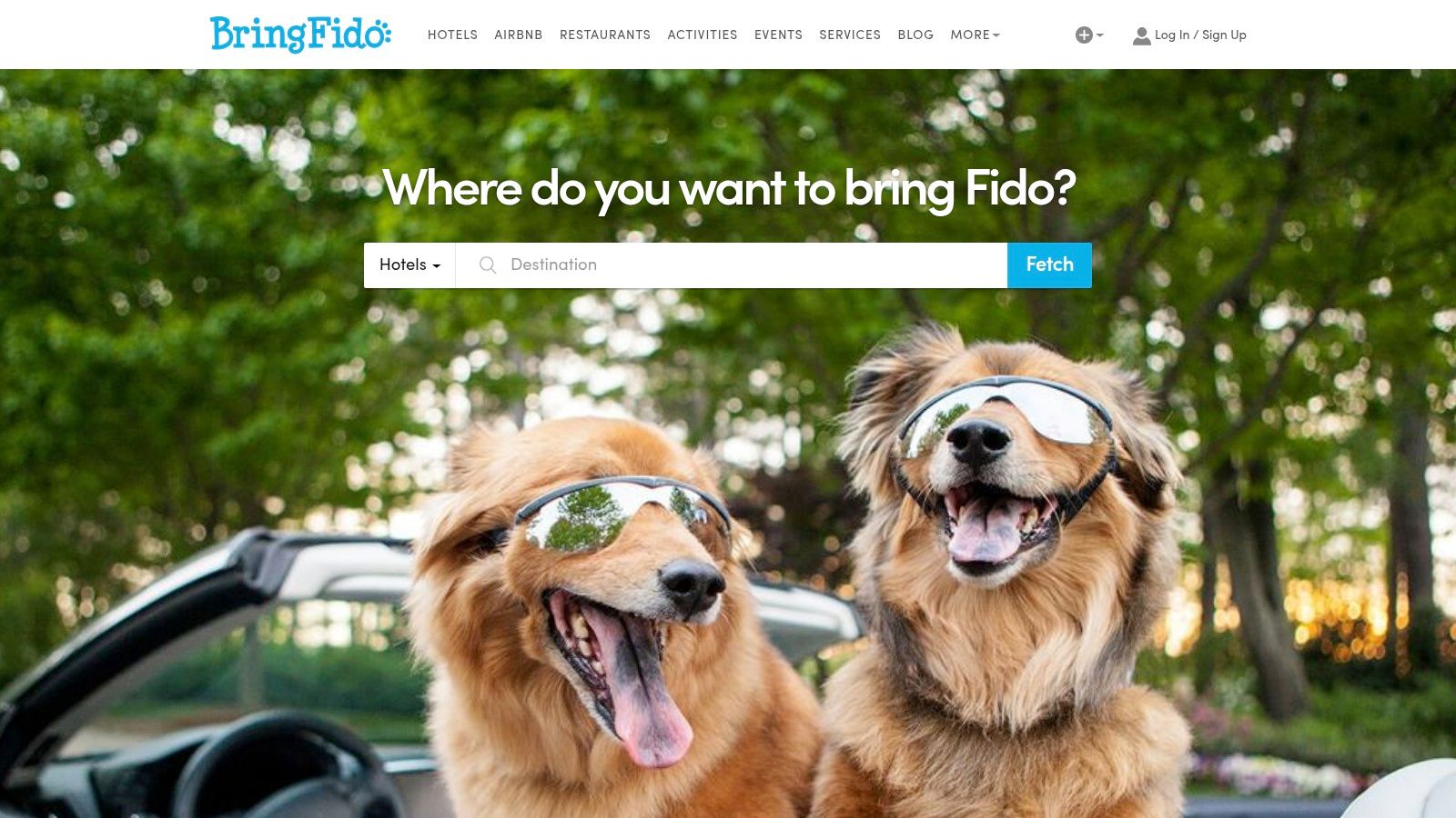 Two dogs wearing sunglasses relaxing on a beach chair, representing a pet-friendly vacation booked through BringFido.