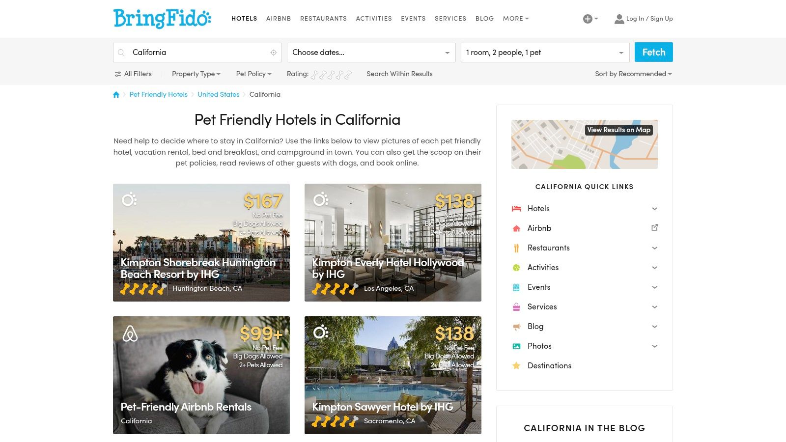A screenshot of the BringFido website showing a search bar for pet-friendly hotels and a photo of a happy dog on a beach.