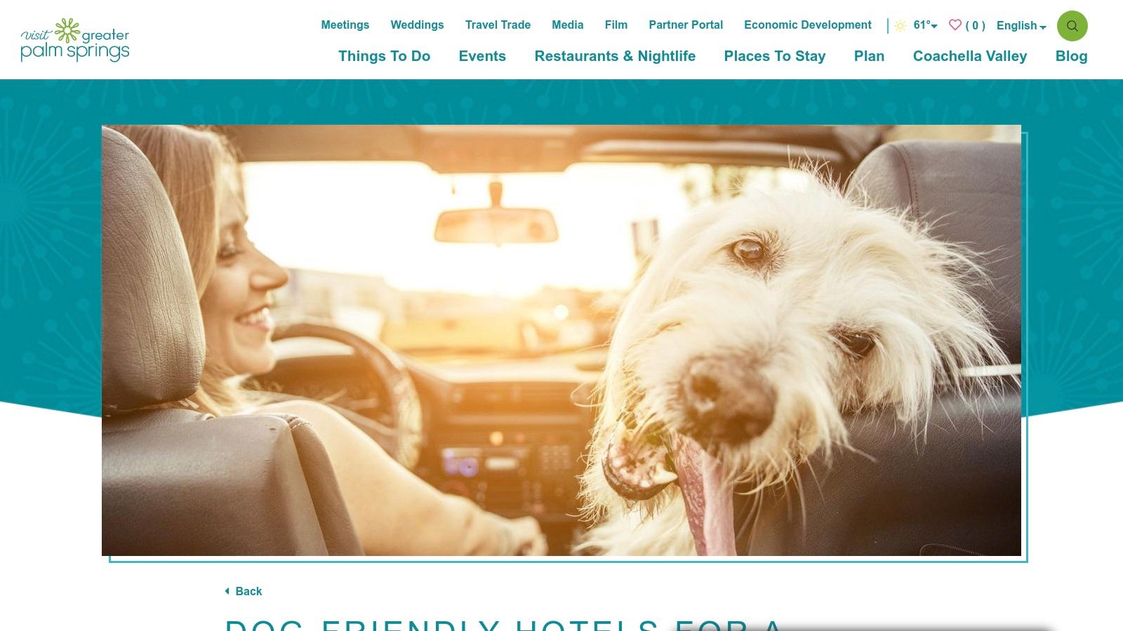 A happy dog with its owner enjoying the sunny Palm Springs weather.