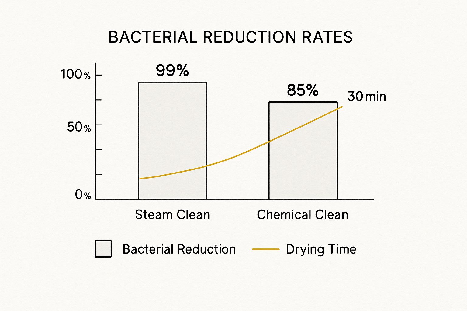 Infographic about steam clean services
