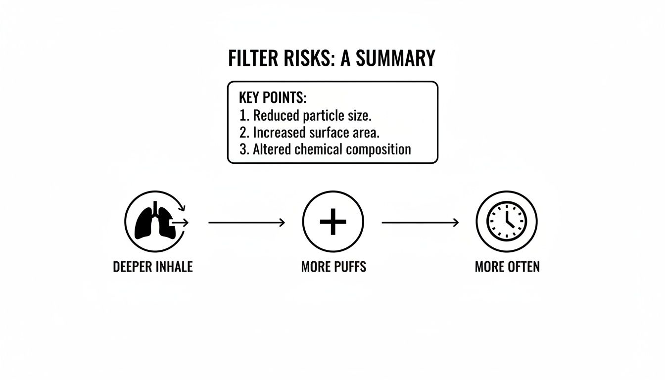 Infographic showing filter risks: reduced particle size, increased surface area, altered chemical composition, and deeper, more frequent use.