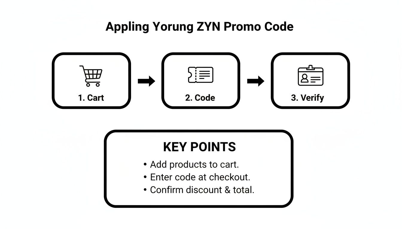 A diagram illustrating three steps to apply a ZYN promo code: Cart, Code, and Verify, with key points.