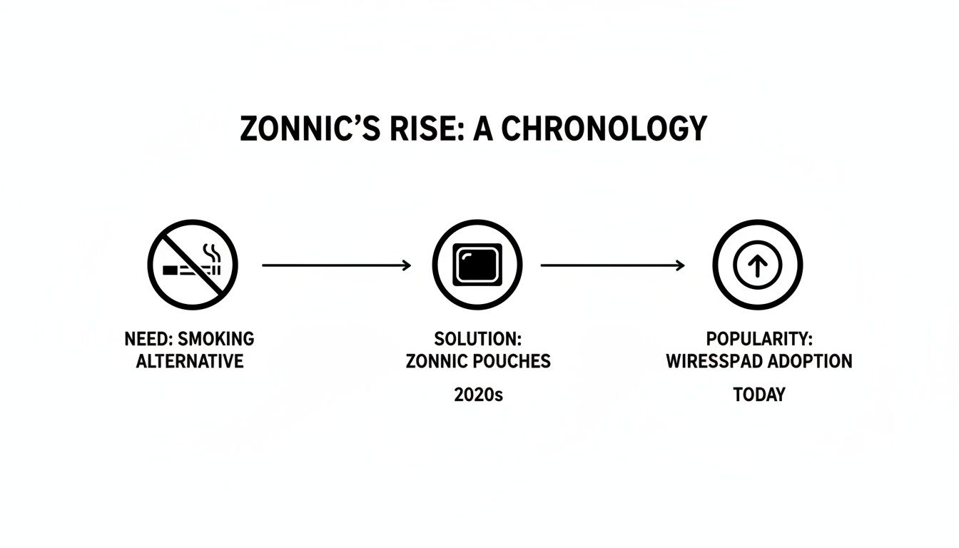 A visual timeline detailing Zonnic's progression from a smoking alternative solution to widespread adoption.