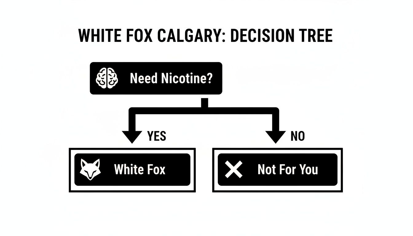 A White Fox Calgary decision tree flowchart asking 'Need Nicotine?'. Yes leads to 'White Fox', No leads to 'Not For You'.